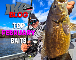 Top Four Baits for February