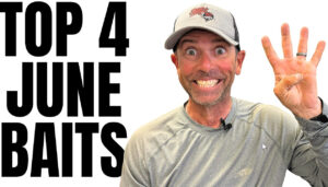 June Top Baits!