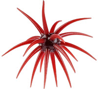 Berkley PowerBait MaxScent Moeba Creature Bait