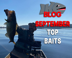 Top Four Baits for September
