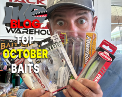 Top 4 Baits for October!
