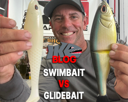 Glide Bait vs. Boot Tail Swimbait: Which One Catches More Bass?